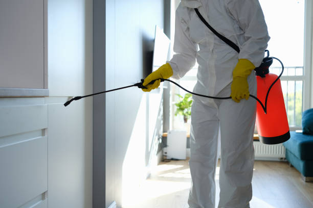 Best Industrial Mold Remediation  in Houston, MO